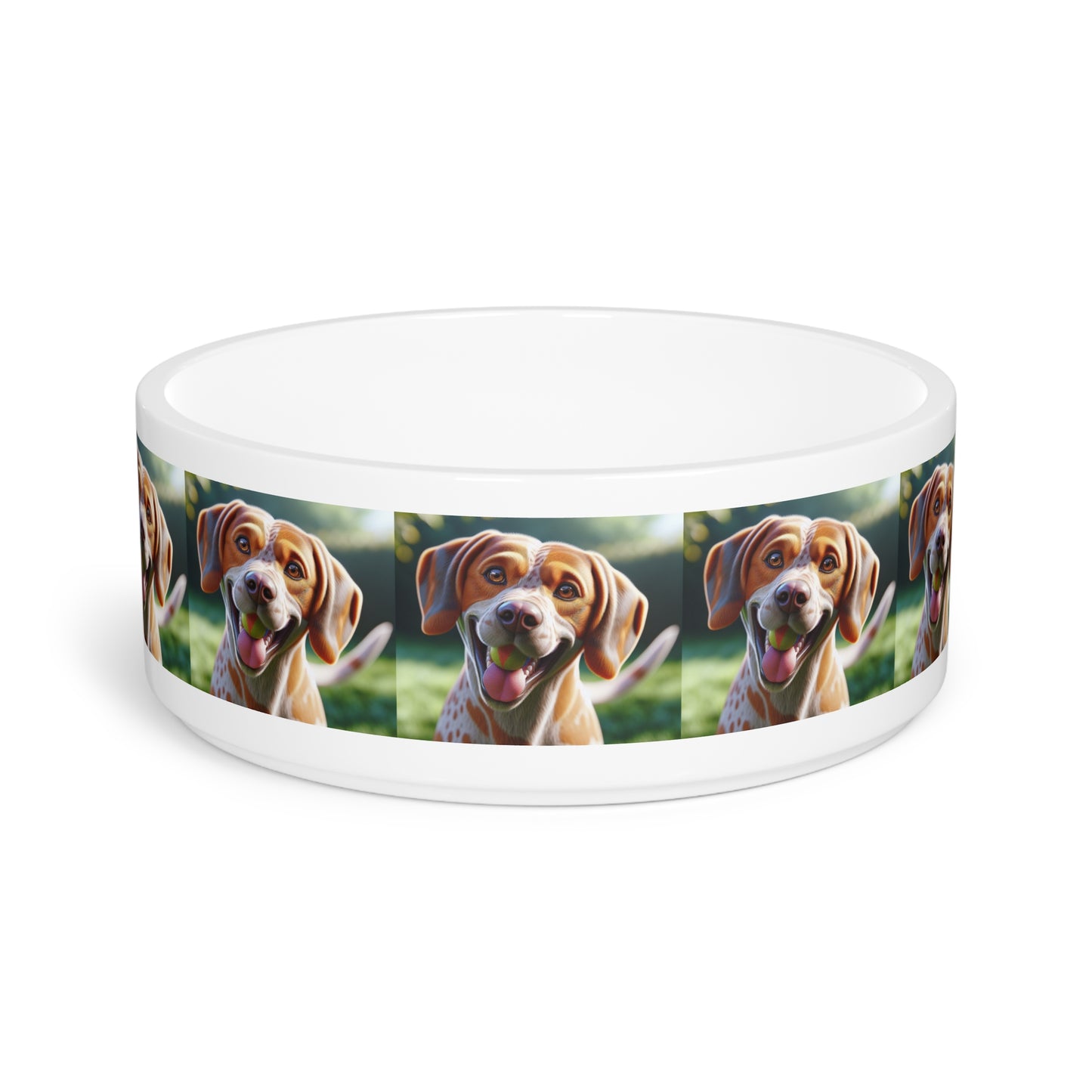 Braque St. Germain Pet Bowl