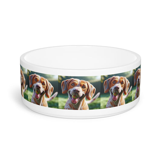 Braque St. Germain Pet Bowl