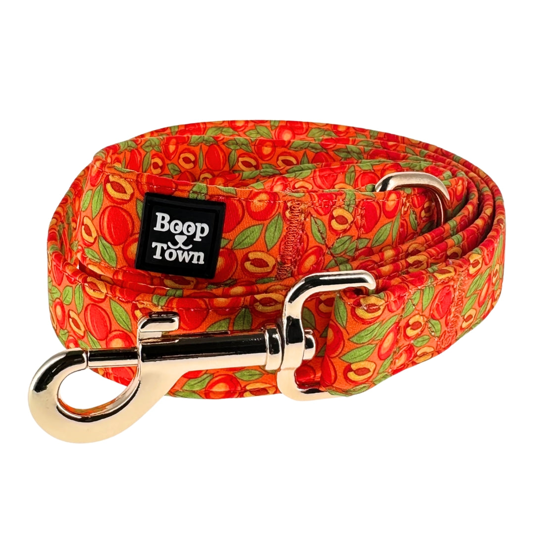 laisses pour chiens