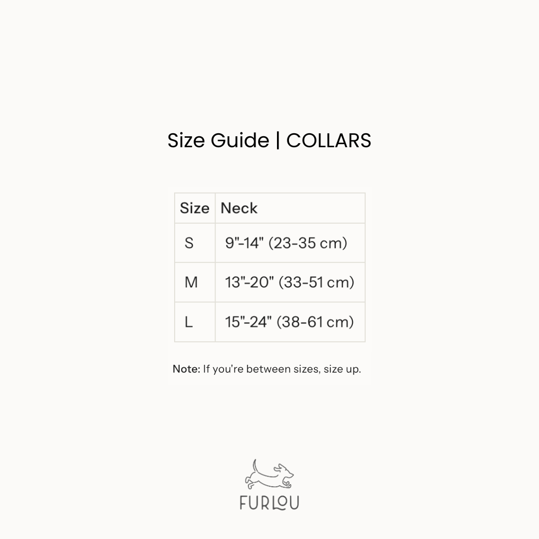 'Terracota' - Collar de lona para perro