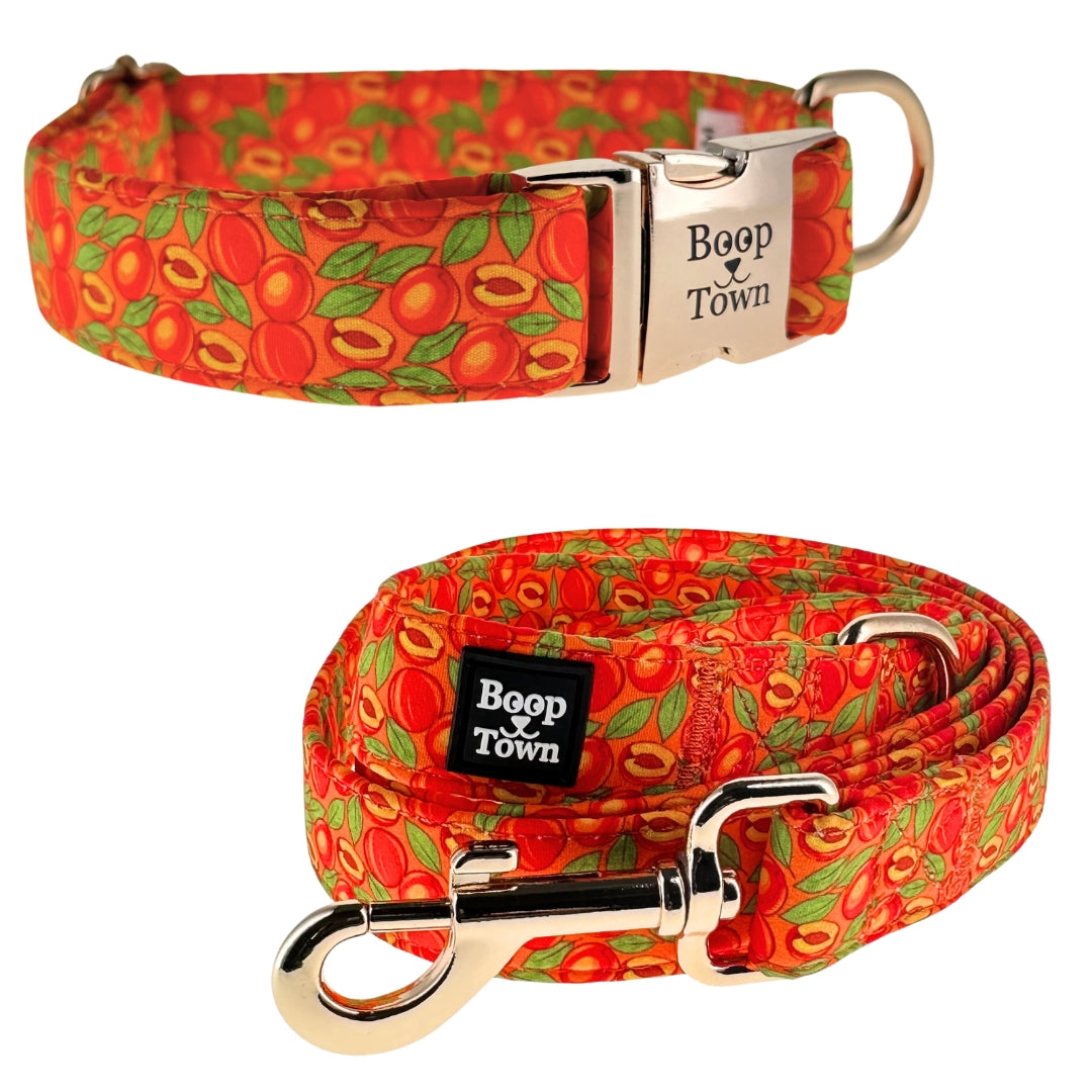 Ensembles collier et laisse pour chien