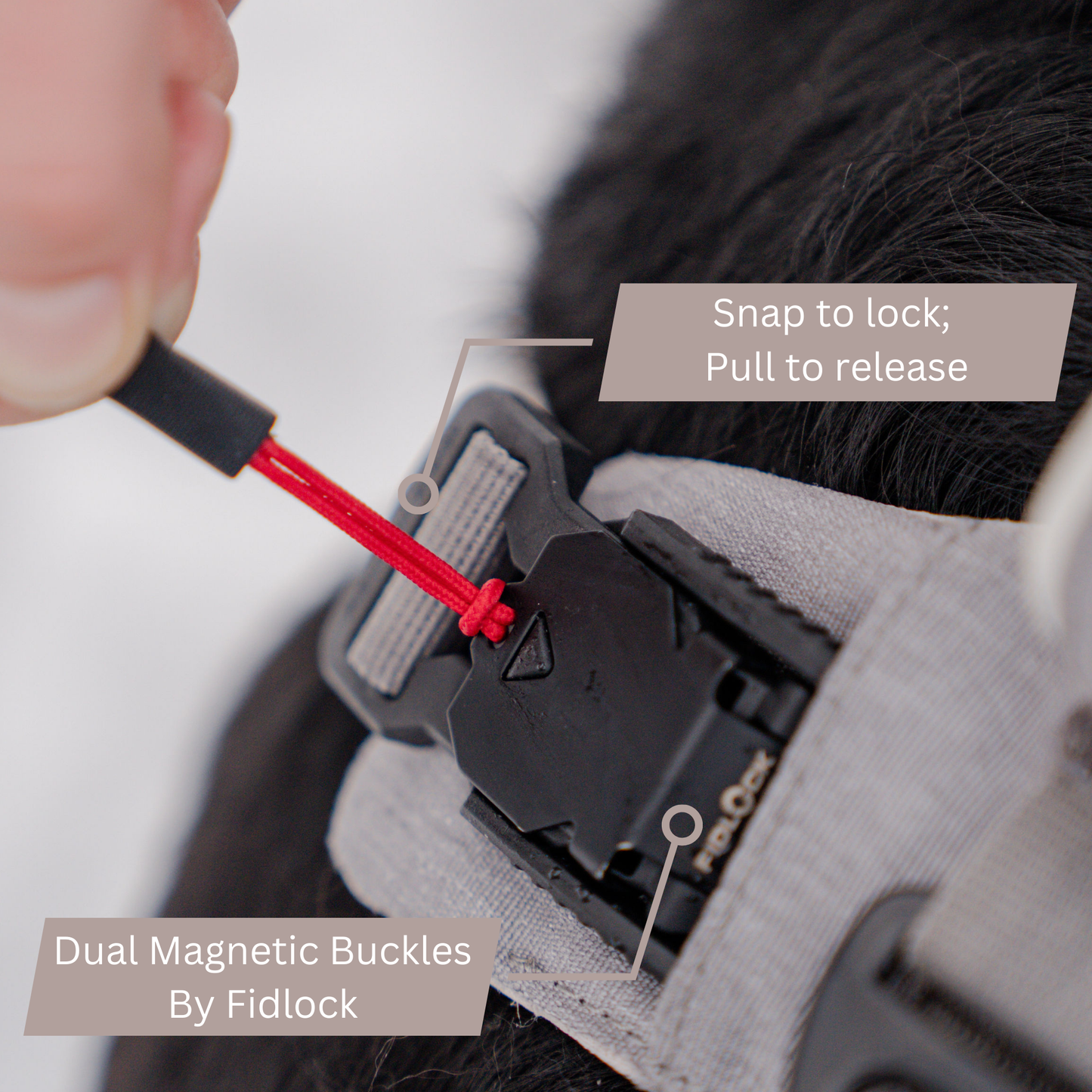 Harnais magnétique pour chien - Attache à une main, conception anti-traction