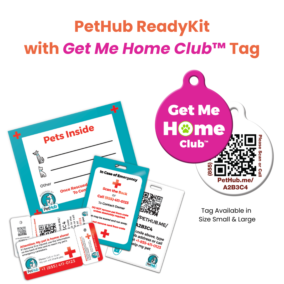 Kit completo de identificación de mascotas QR de PetHub: kit de emergencia completo