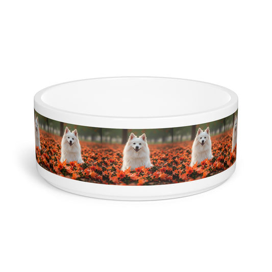 Indian Spitz Pet Bowl