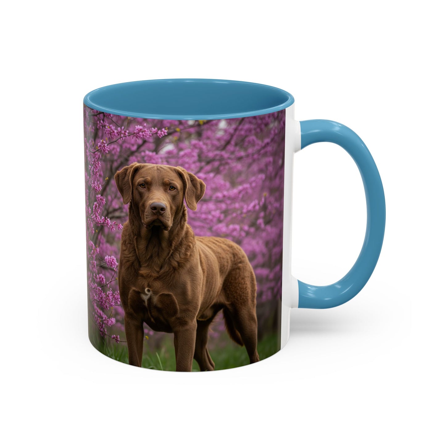 Chesapeake Bay Retriever Accent Coffee Mug - Perfect Gift for Dog Lovers