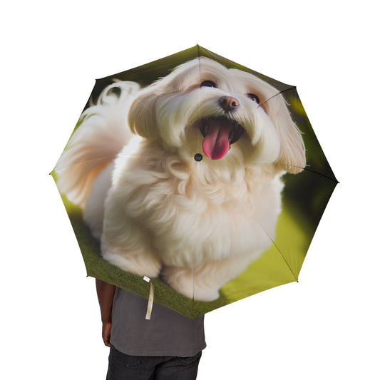 Havanese Semi-Automatic Foldable Umbrella