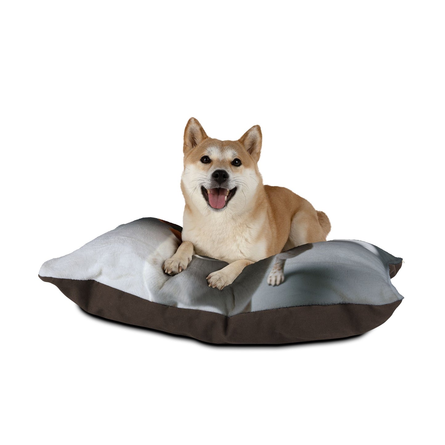 Kromfohrlander Pet Bed