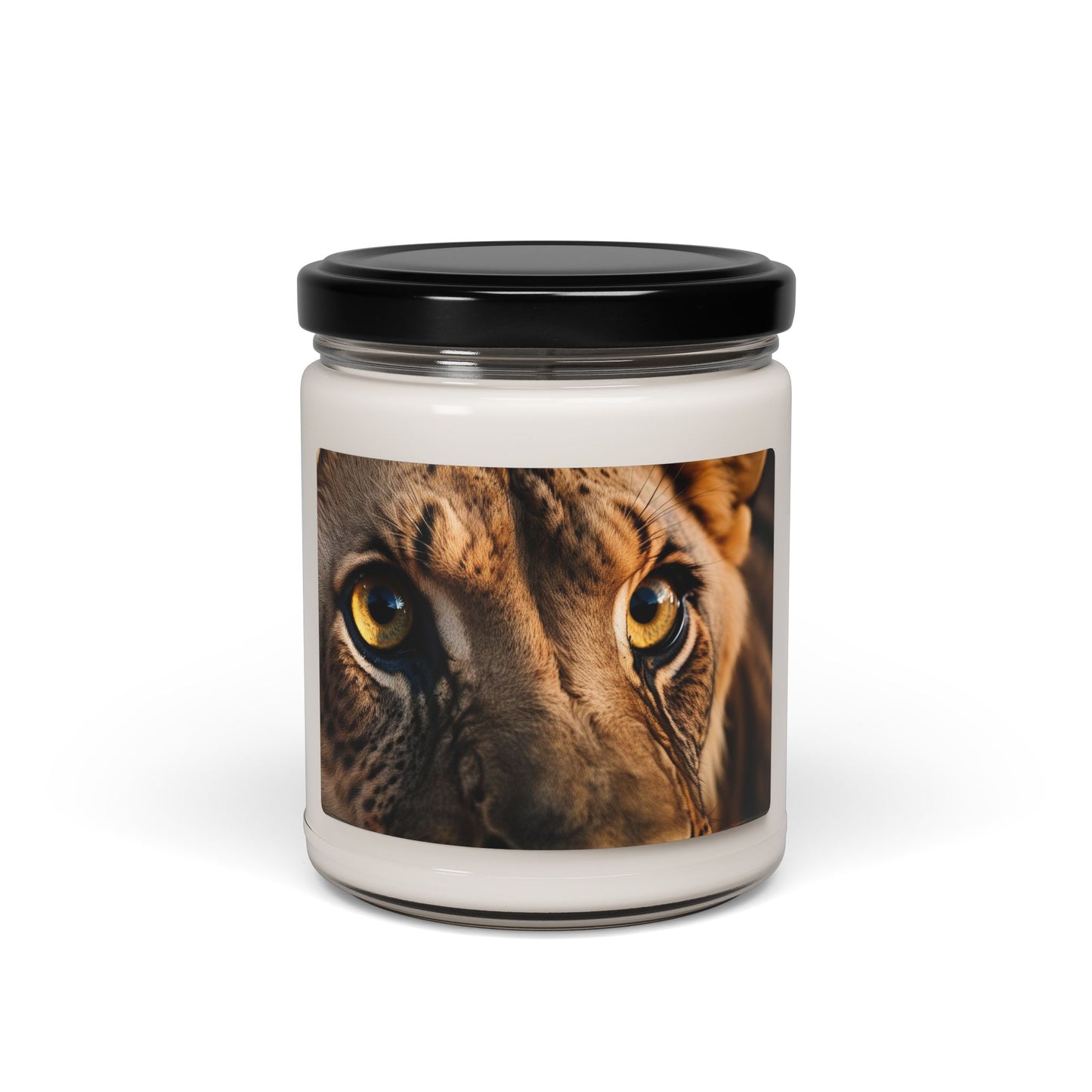 Close Up of a Lion's Eye- Scented Soy Candle, 9oz