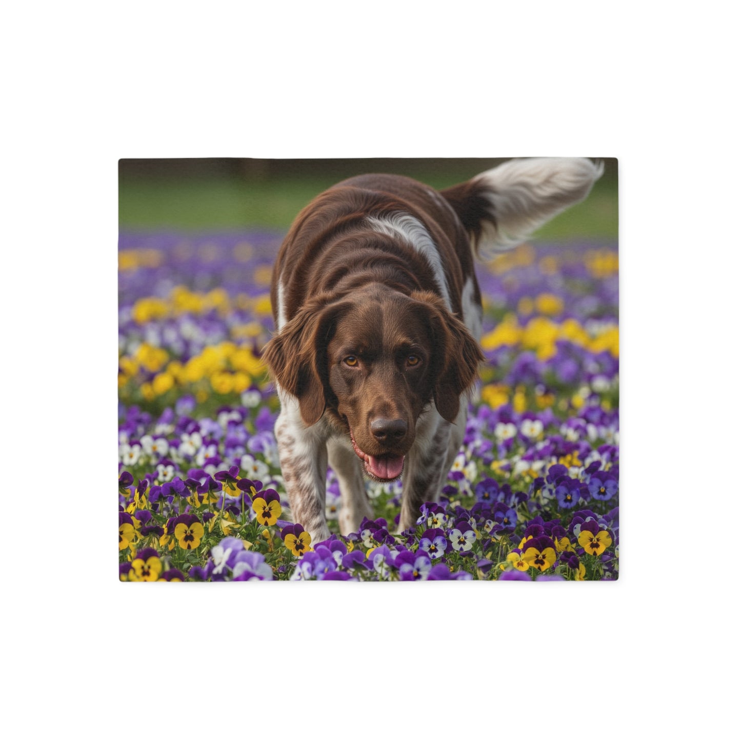 Sweatshirt Blanket – Plush Fleece Throw, 2 Size Options