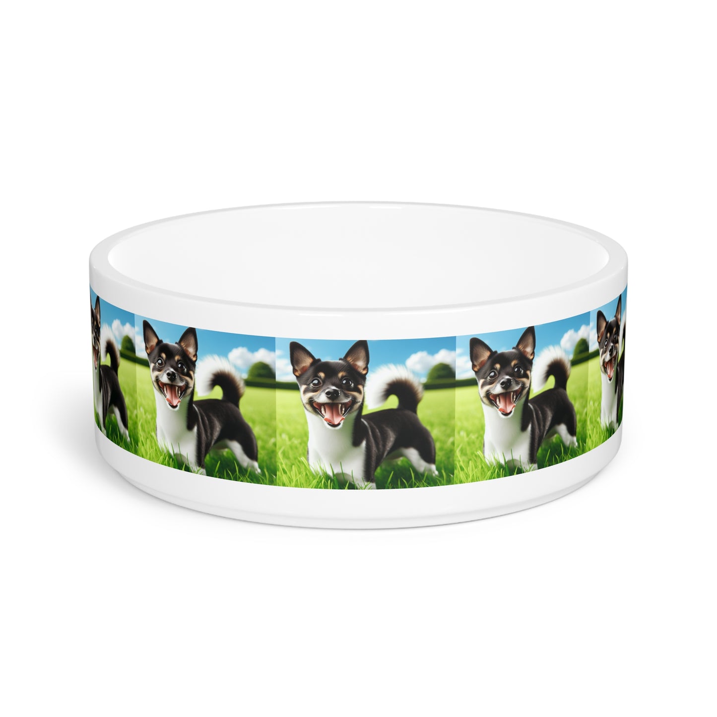 Ceramic Pet Bowl – 16 oz Dog Feeding Bowl