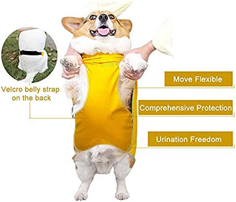 Chubasquero y poncho impermeable para perros con protección abdominal de Dach Everywhere