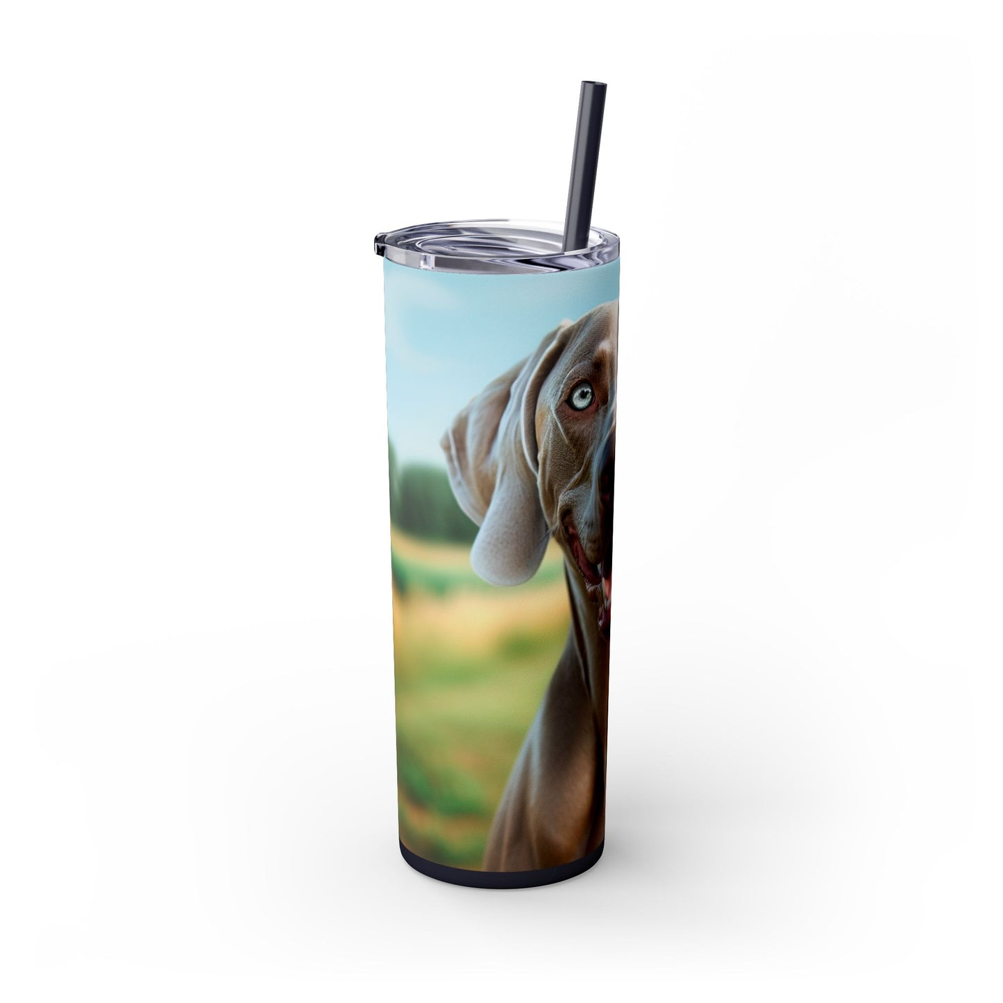 Weimaraner Skinny Tumbler with Straw, 20oz