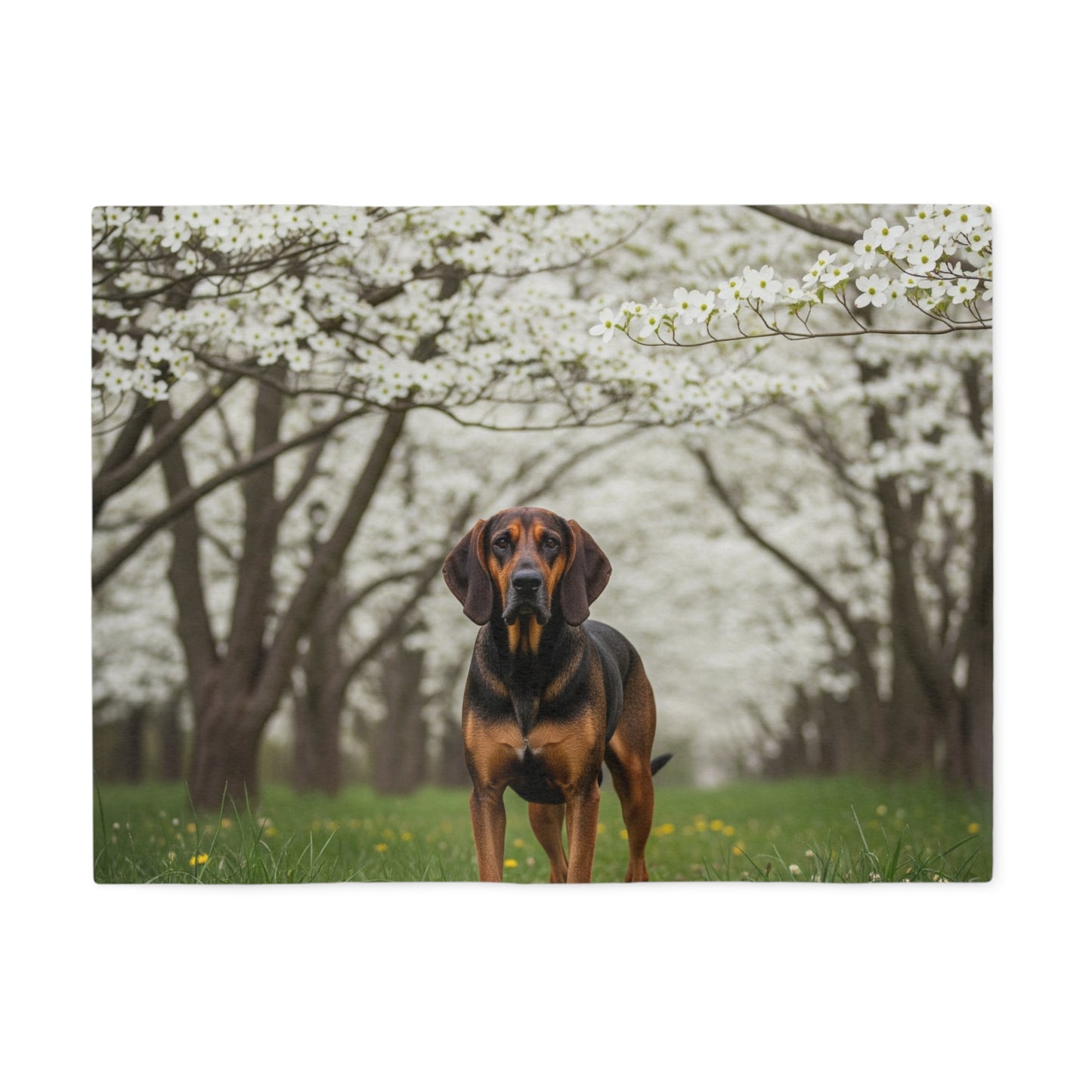 Plott Hound Sweatshirt Blanket