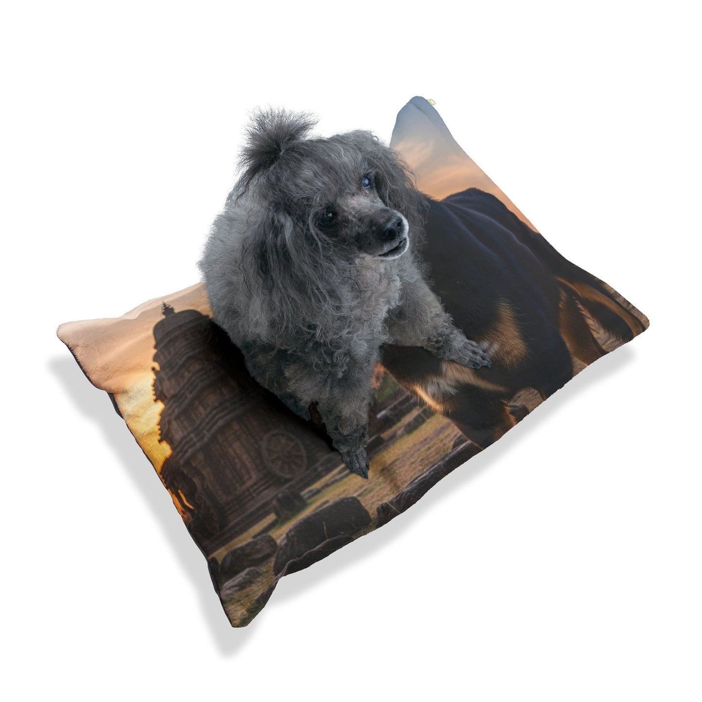 Bakharwal Pet Bed