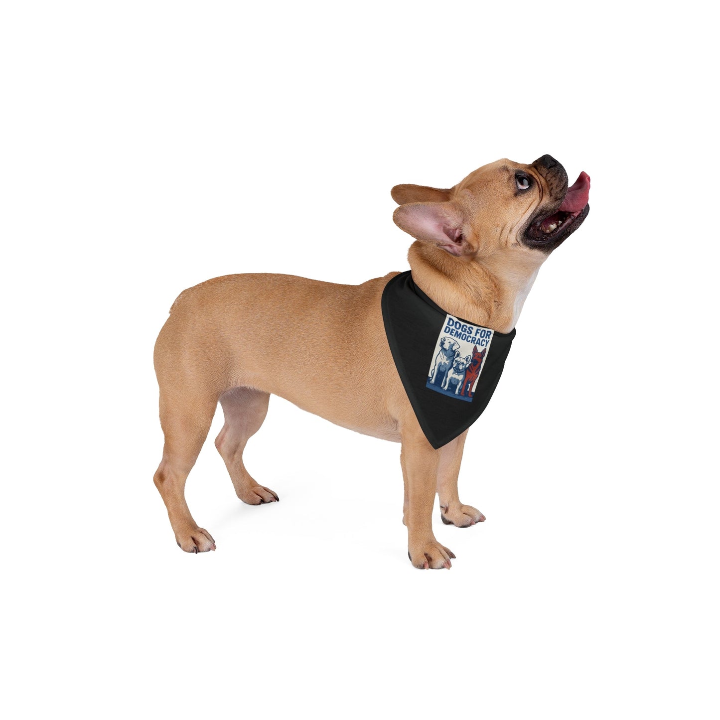 Bandana con diseño exclusivo de Perros por la Democracia