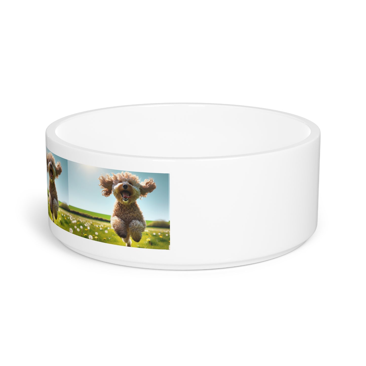 Spoodle Pet Bowl