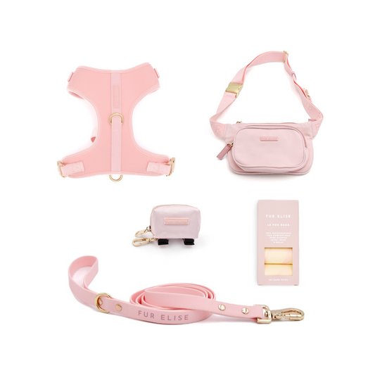 Coffret de promenade ultime - Rose