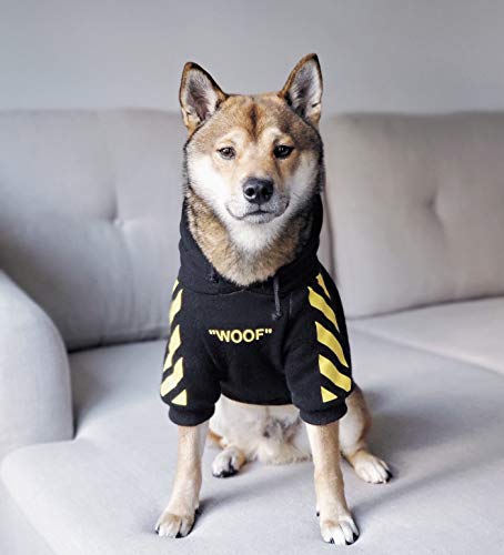 Sweat à capuche Fresh Pawz Woof pour chien