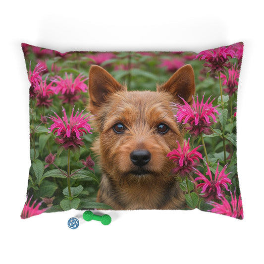 Norwich Terrier Pet Bed