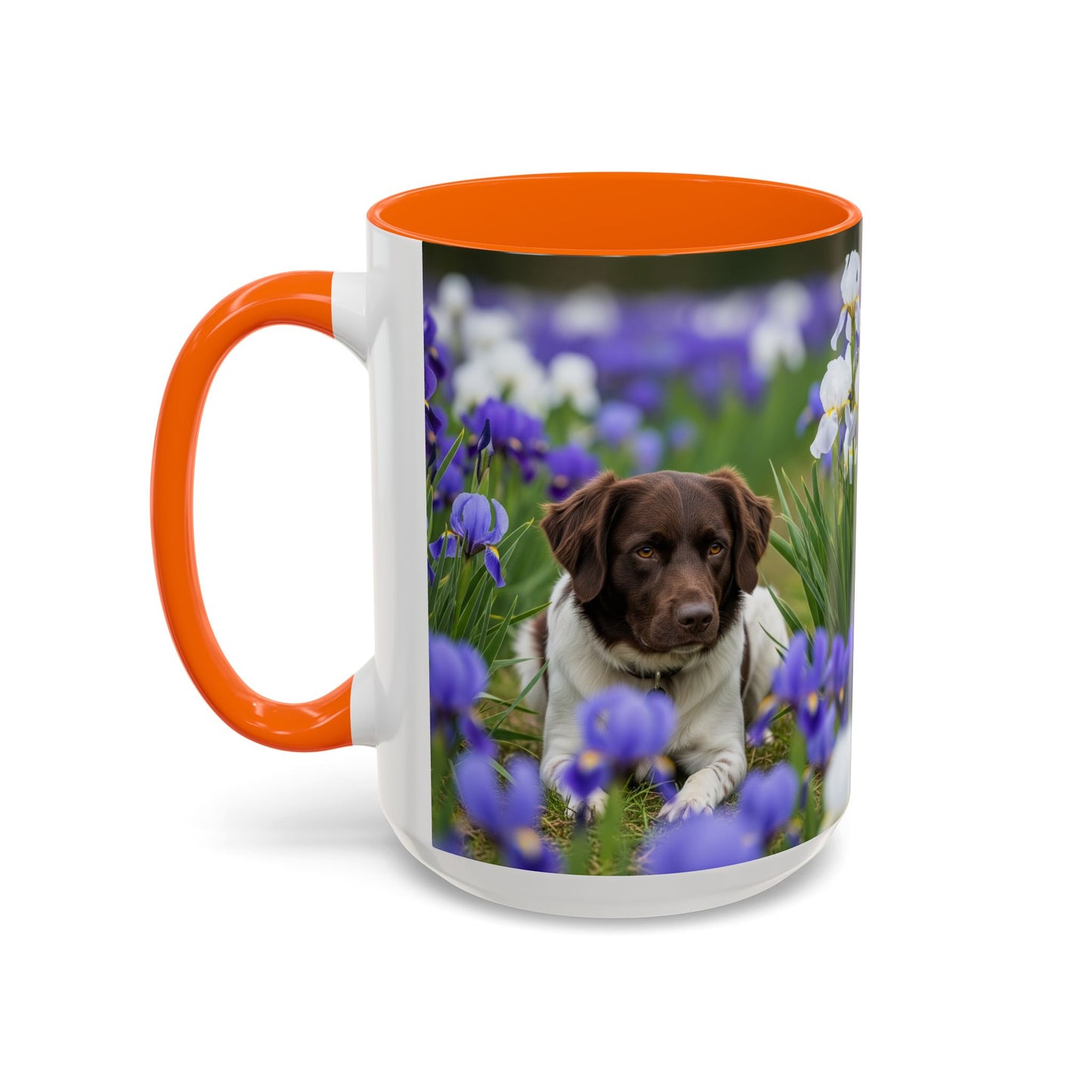 Mug Stabyhouns Accent - Cadeau idéal pour les amoureux des chiens
