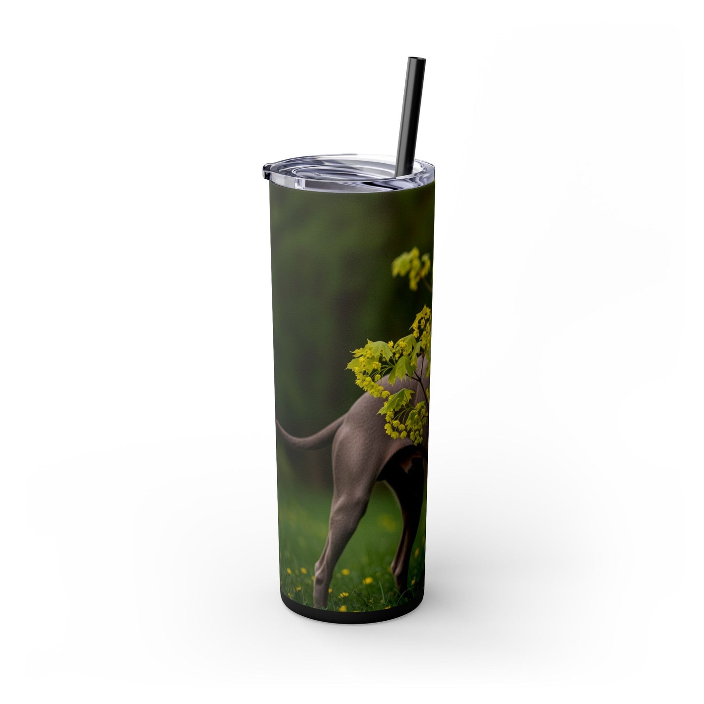 Weimaraner Skinny Tumbler with Straw, 20oz