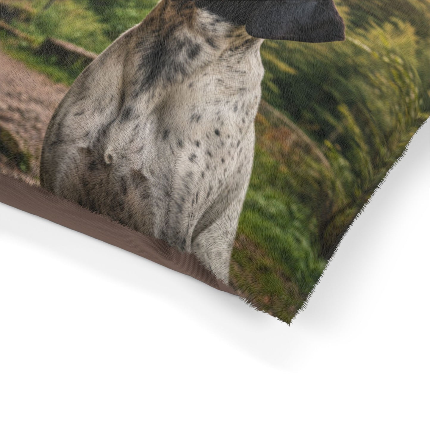Braque d'Auvergne Pet Bed