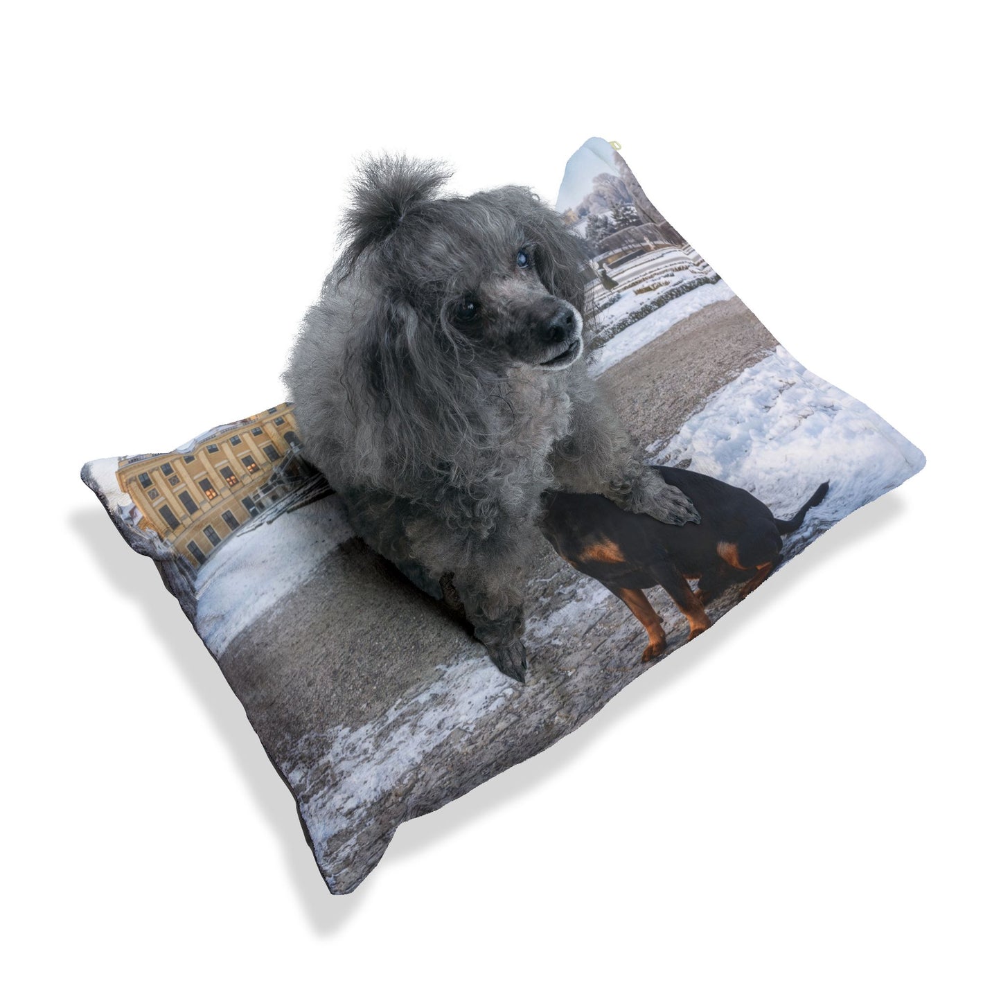 Austrian Black and Tan Hound Pet Bed