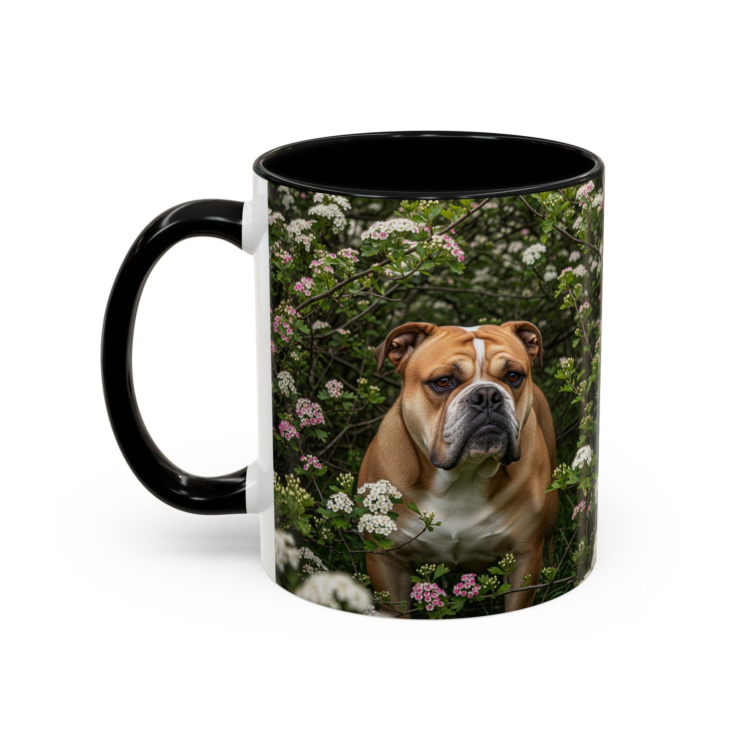 Mug à café Olde English Bulldogge Accent - Cadeau idéal pour les amoureux des chiens