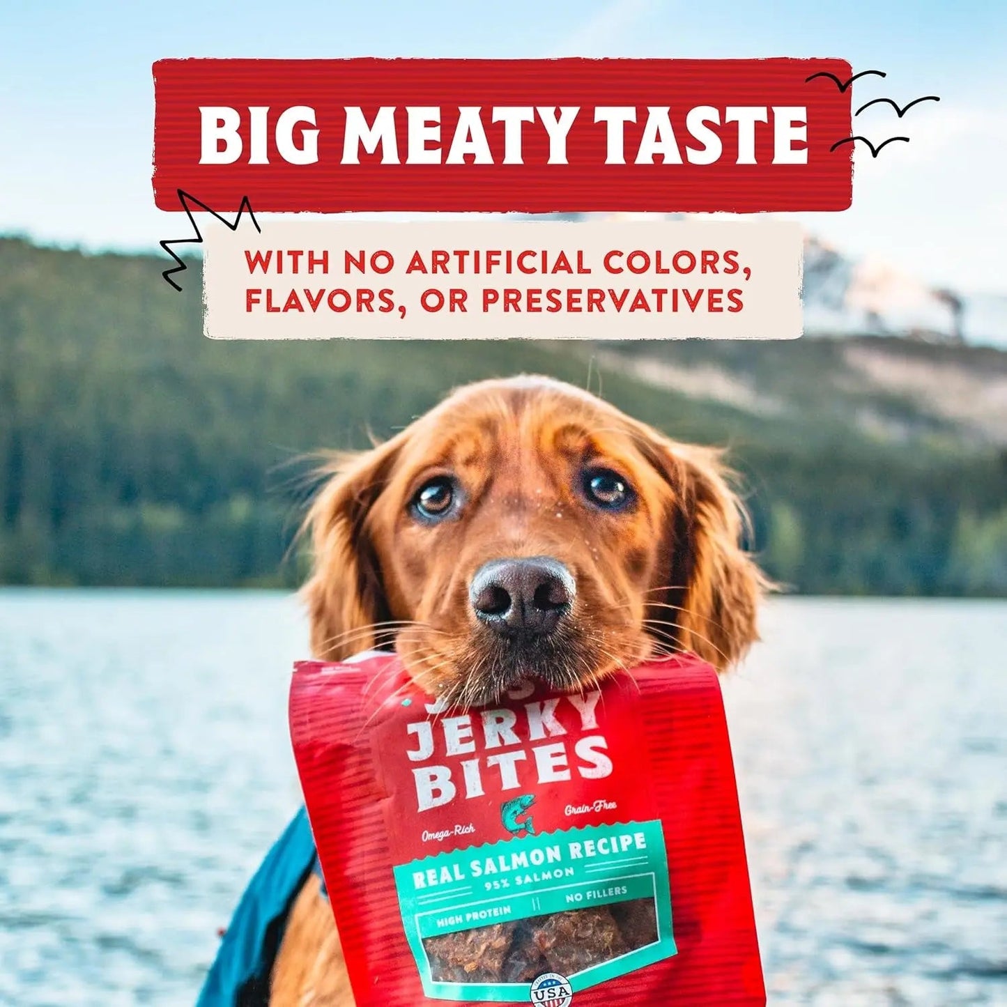 Premios premium de carne seca para perros: bocados con 95 % de carne real para estómagos sensibles