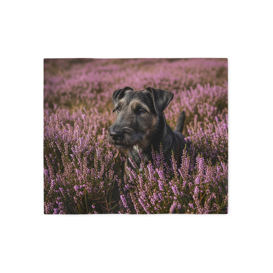 Glen of Imaal Terrier Sweatshirt Blanket