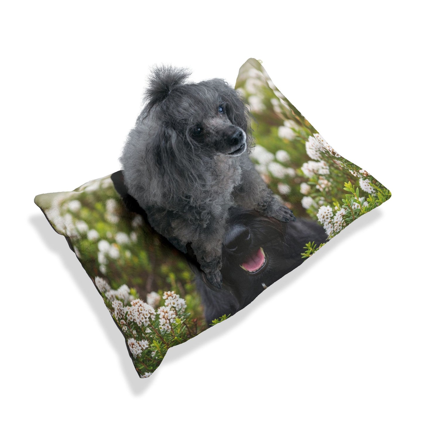 Cama para mascotas Scottish Terrier