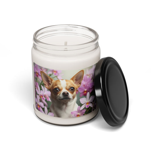 Bougie parfumée Chihuahua à la cire de soja, 255 g 