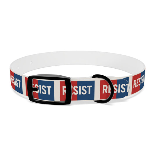 Collier de résistance pour chien