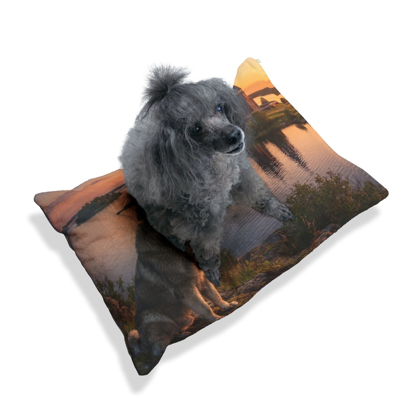 Caucasian Shepherd Dog Pet Bed