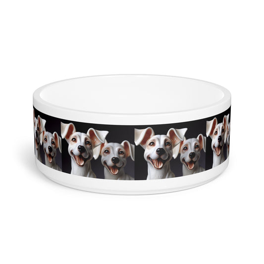 Porcelaine Pet Bowl