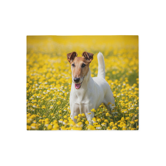 Smooth Fox Terrier Sweatshirt Blanket
