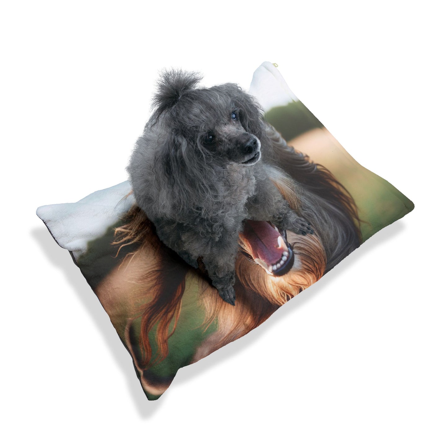 Cama para mascotas Scottish Deerhound