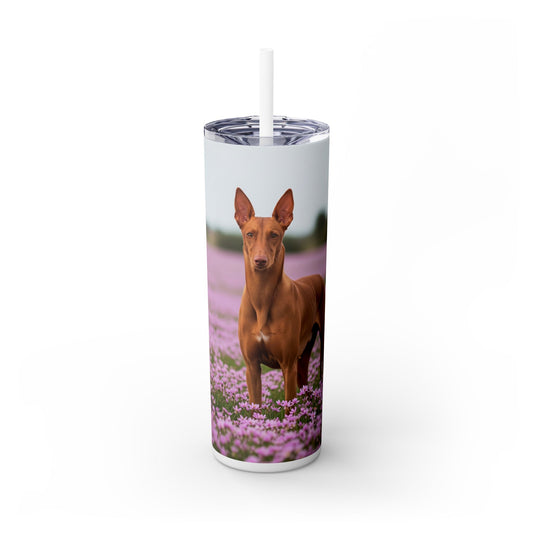 Pharaoh Hound Skinny Tumbler with Straw, 20oz