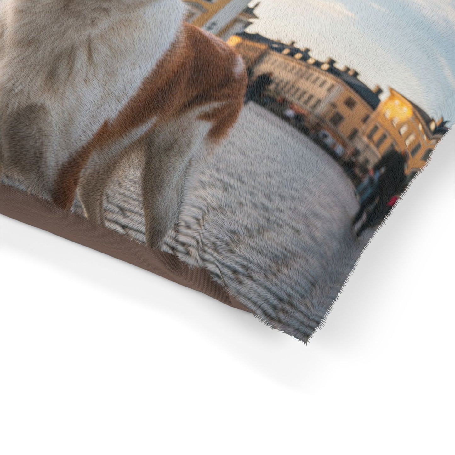 Norrbottenspets Pet Bed