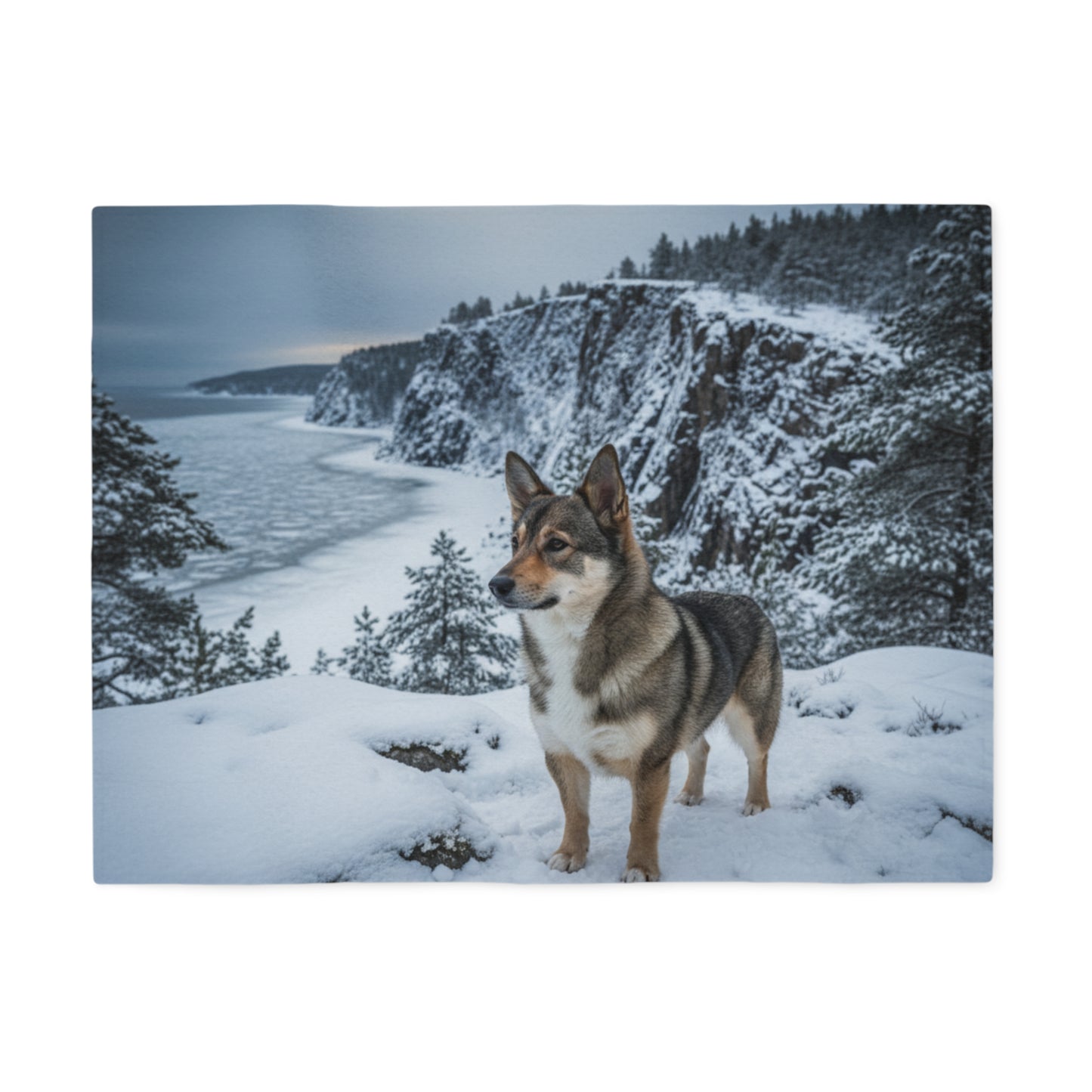 Swedish Vallhund Blanket