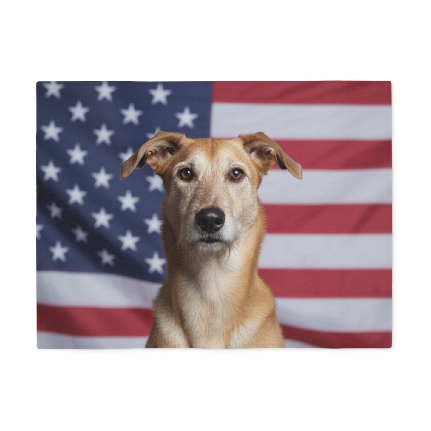 American Staghound Patriotic Blanket