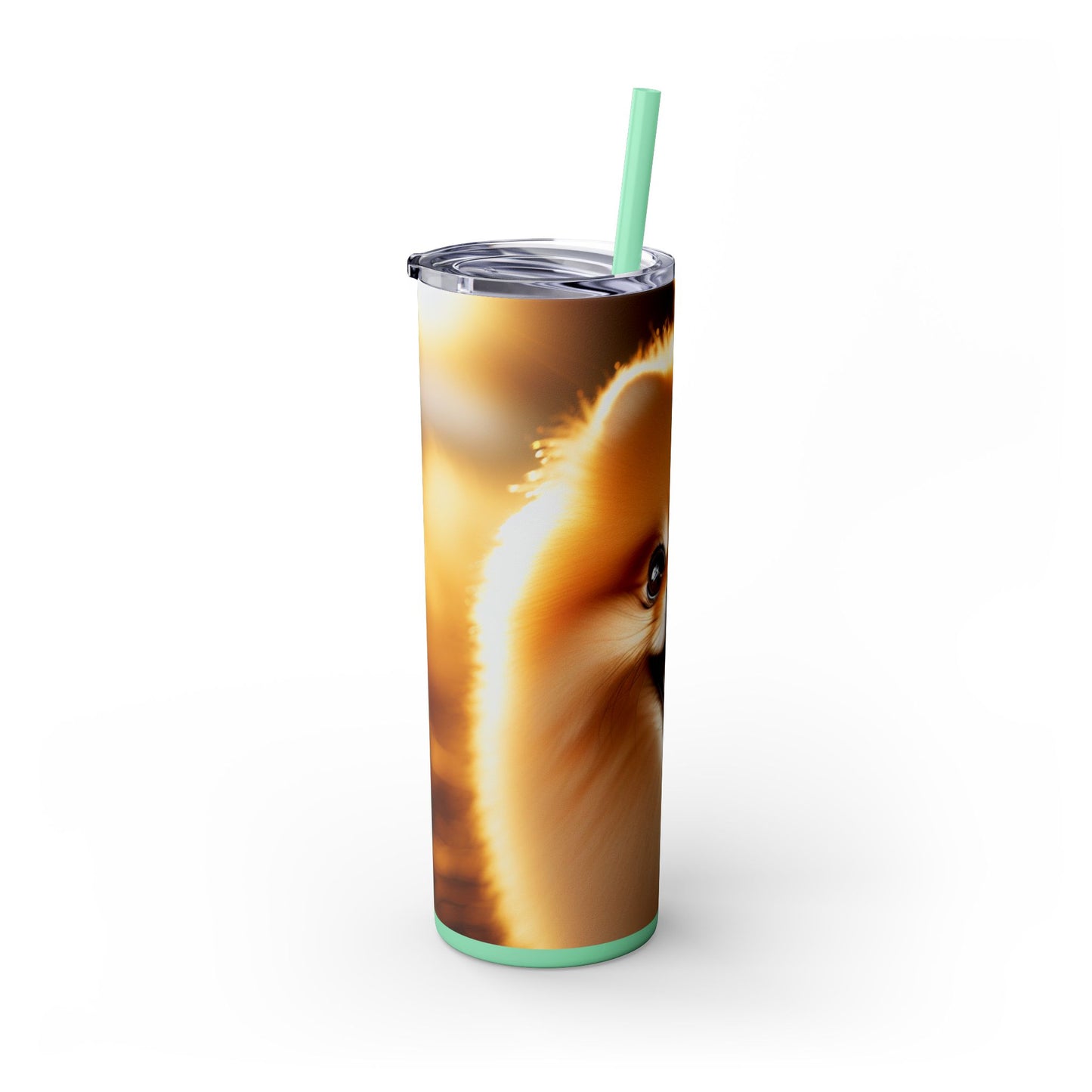 Pomeranian Skinny Tumbler with Straw, 20oz