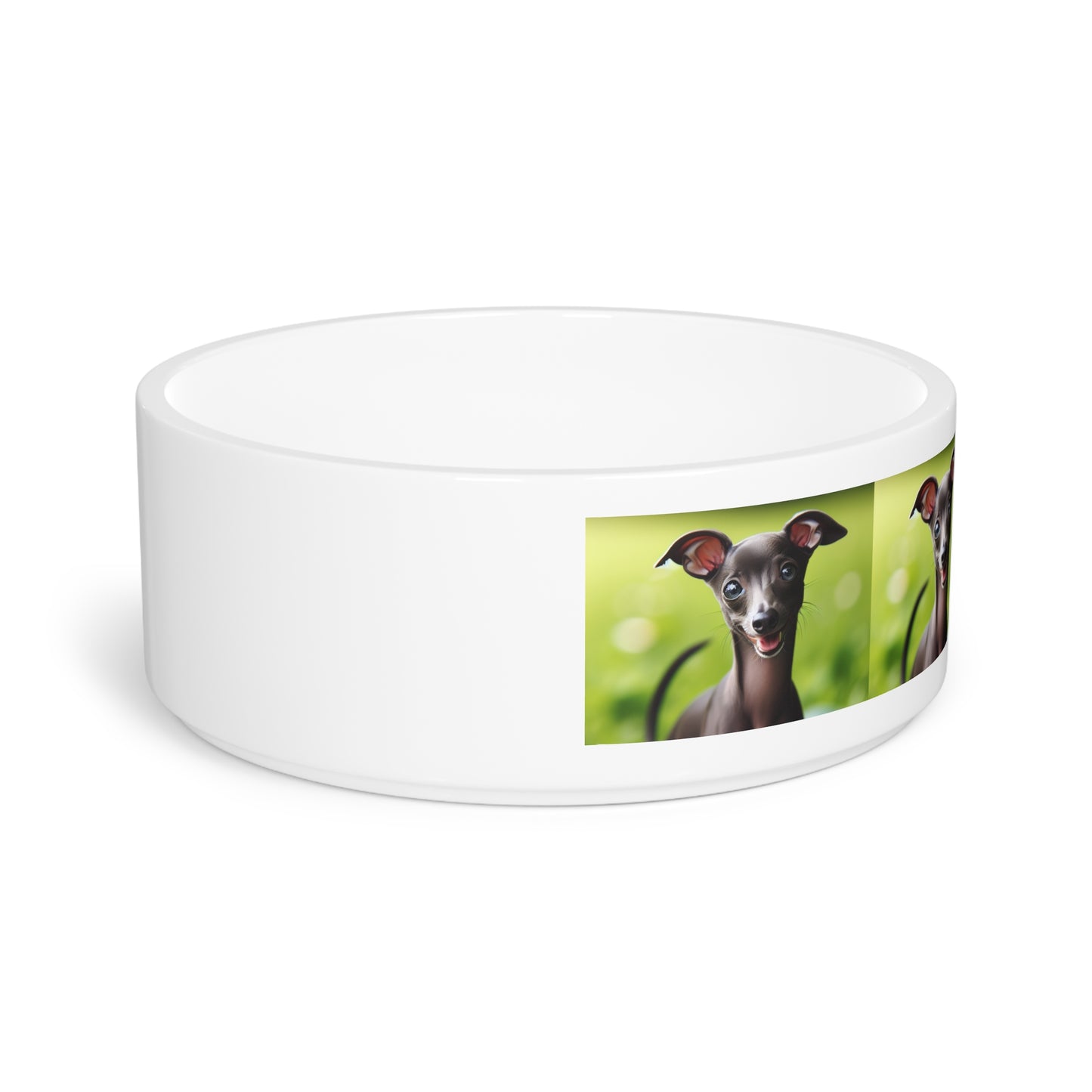 Italian Greyhound Pet Bowl