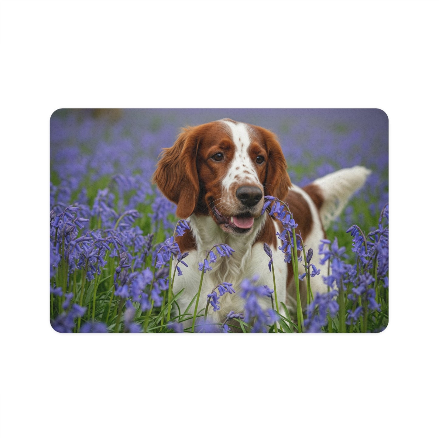Pet Food Mat (12x18) - Welsh Springer Spaniel