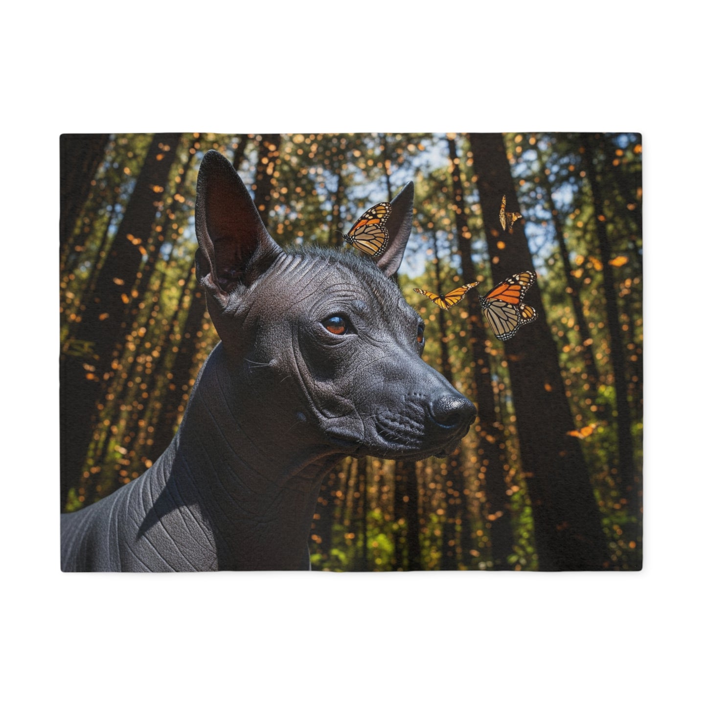 Xoloitzcuintli Blanket