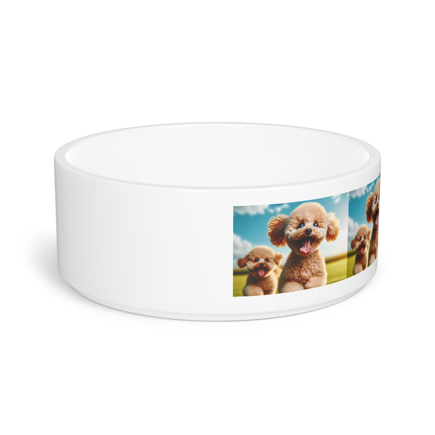 Toy Poodle Pet Bowl