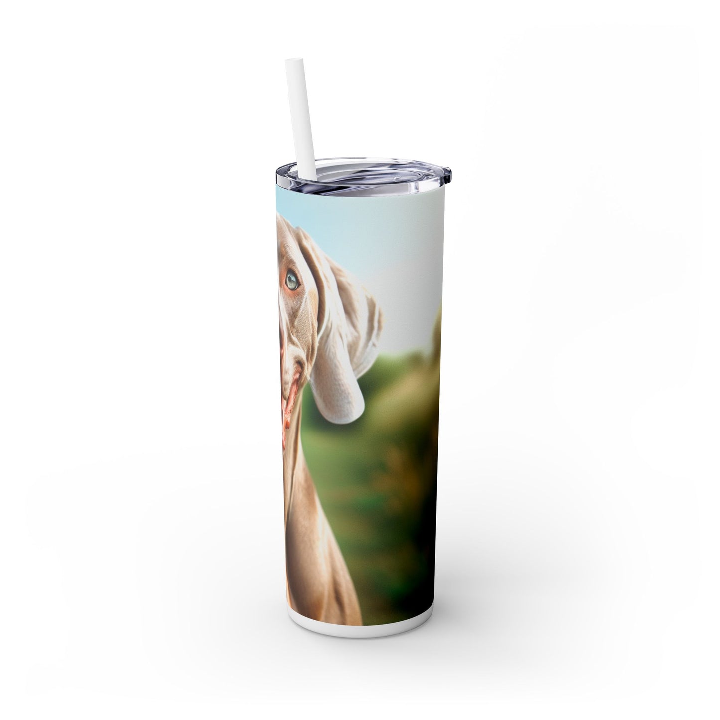 Weimaraner Skinny Tumbler with Straw, 20oz
