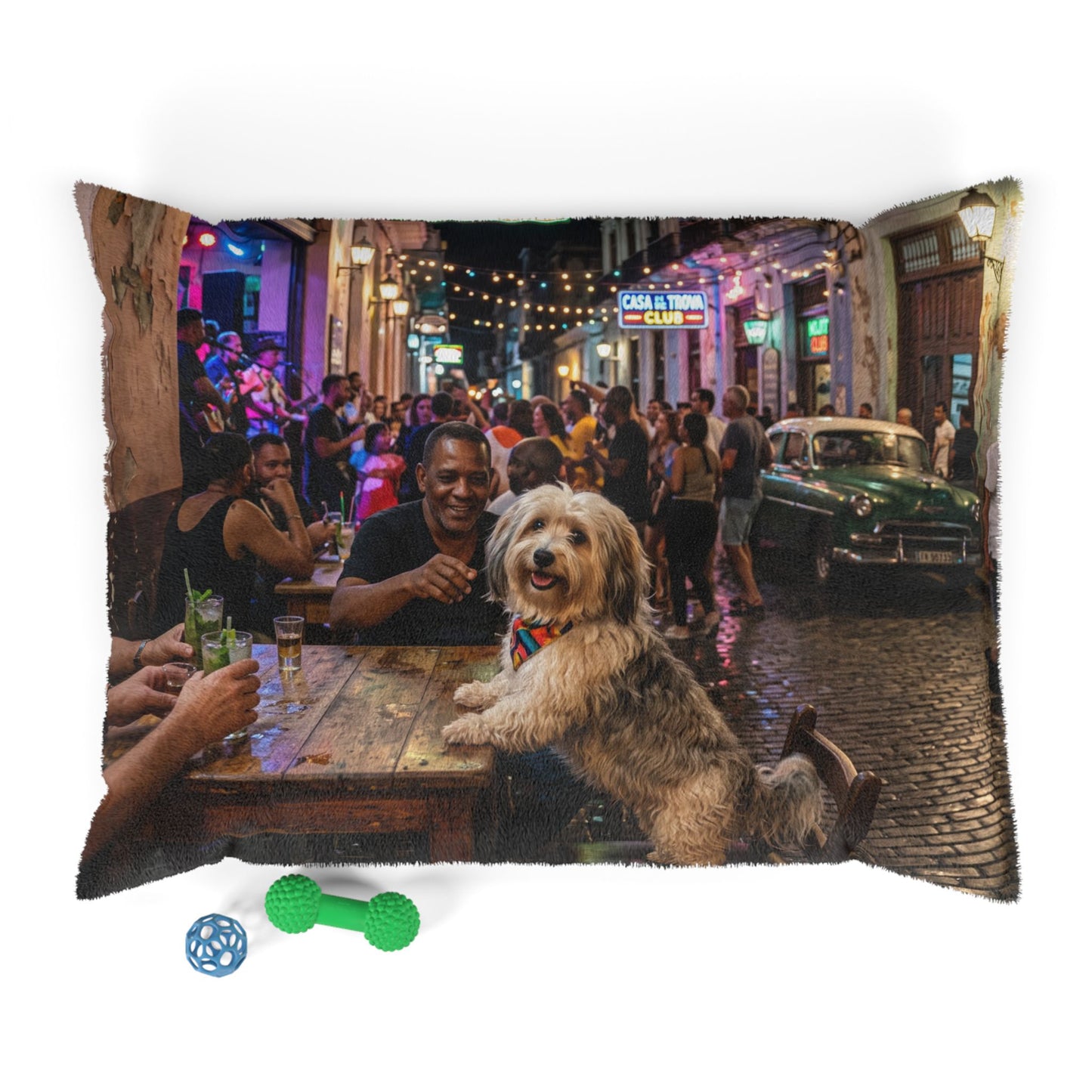 Havanese Pet Bed