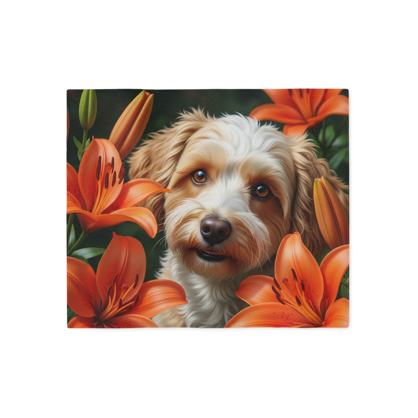 Couverture-sweat Schnoodle