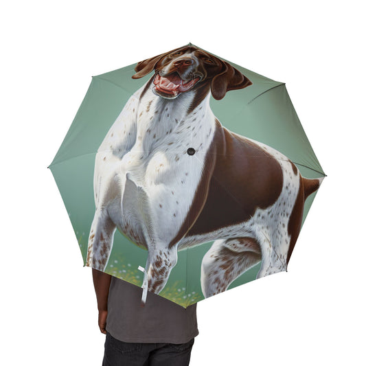 Pointer Semi-Automatic Foldable Umbrella